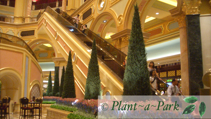 Venetian Macau Lobby