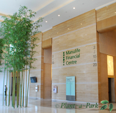 ManuLife